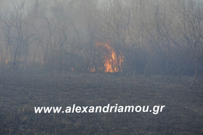 alexandriamou.fotia21.2.19020