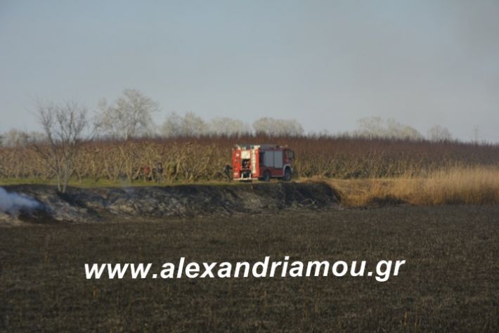 alexandriamou.fotia21.2.19033