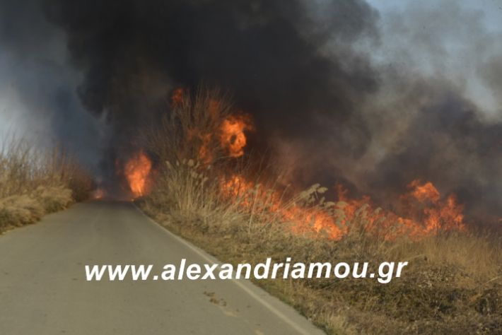 alexandriamou.fotia21.2.19058