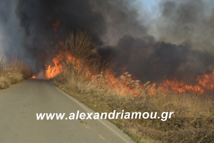 alexandriamou.fotia21.2.19059