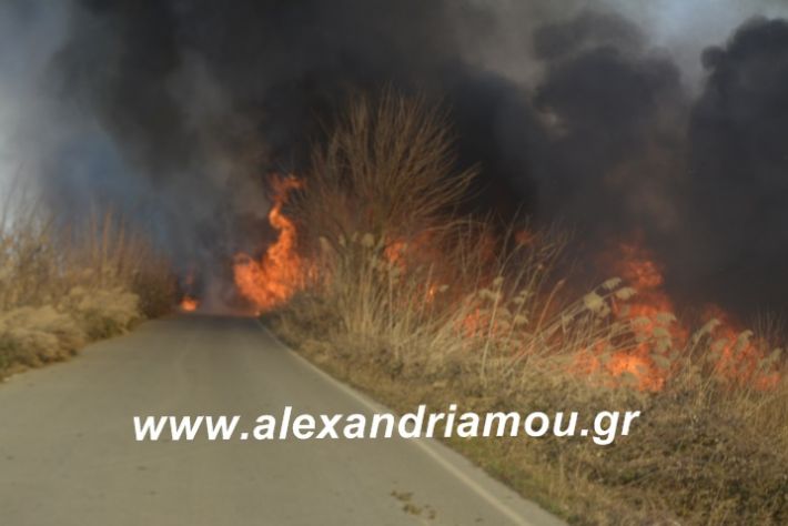 alexandriamou.fotia21.2.19060