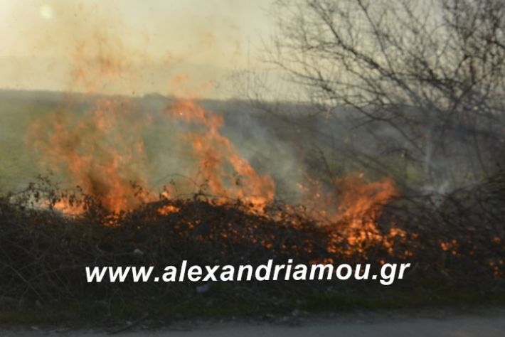 alexandriamou.fotia21.2.19086