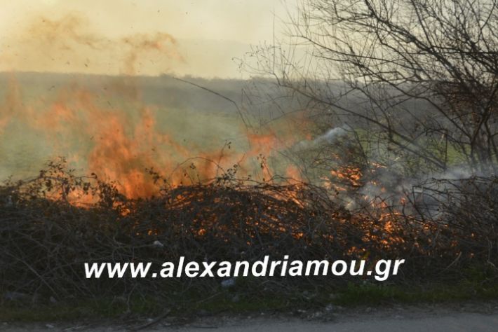 alexandriamou.fotia21.2.19088