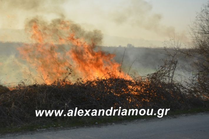 alexandriamou.fotia21.2.19090