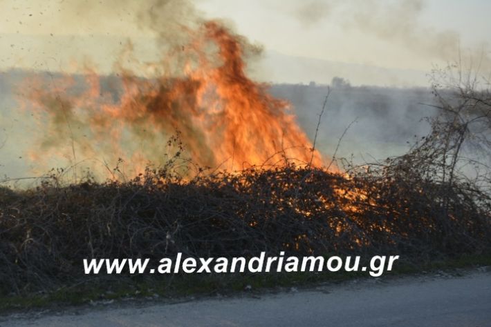 alexandriamou.fotia21.2.19091