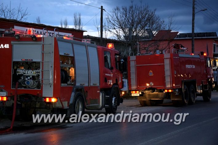 alexandriamou.gr_fotia2811DSC_1110