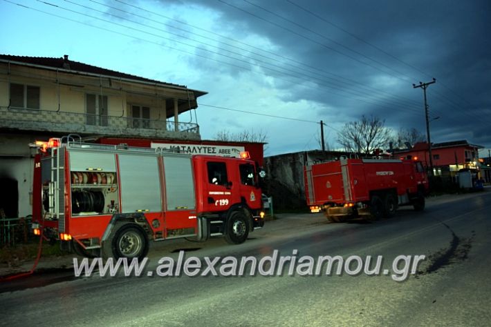 alexandriamou.gr_fotia2811DSC_1111