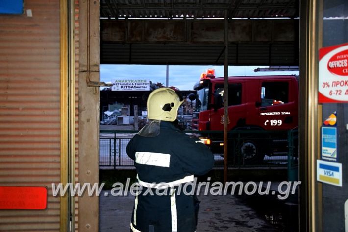 alexandriamou.gr_fotia2811DSC_1116