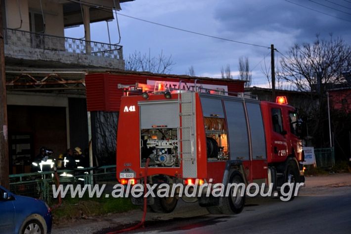 alexandriamou.gr_fotia2811DSC_1140