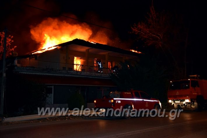 alexandriamou.gr_fotia311220DSC_0740