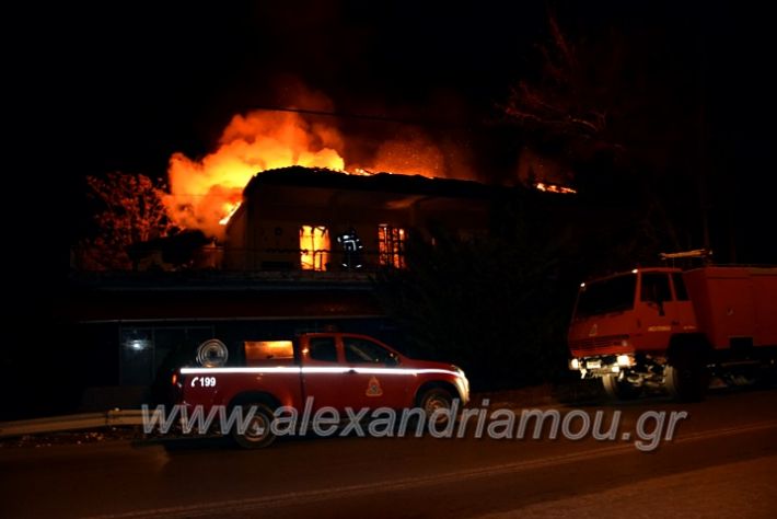 alexandriamou.gr_fotia311220DSC_0741