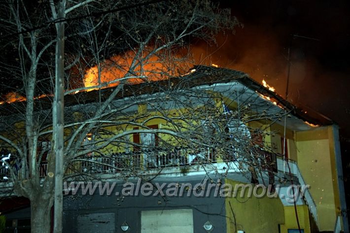 alexandriamou.gr_fotia311220DSC_0760