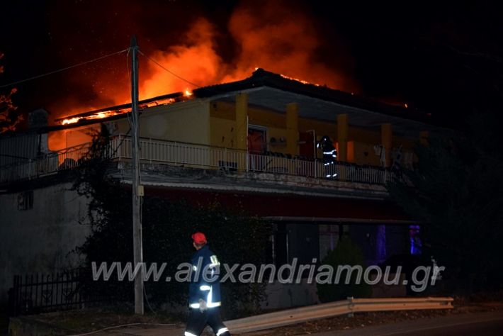 alexandriamou.gr_fotia311220DSC_0765