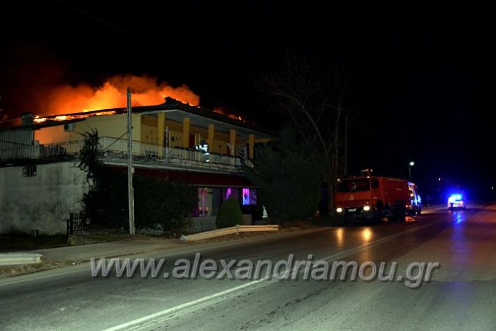 alexandriamou.gr_fotia311220DSC_0768