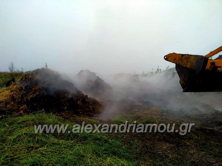 alexandriamou.gr_fotia4.10.1971539929_2685355151498115_2685109679675146240_n