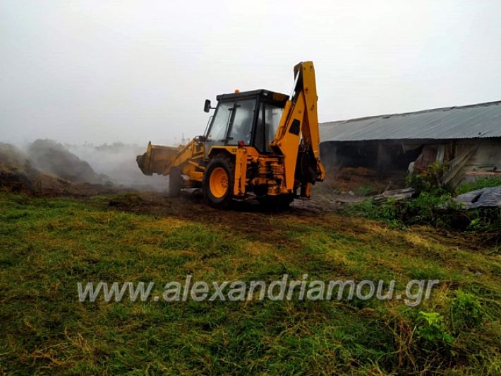 alexandriamou.gr_fotia4.10.1971703006_451566512126897_8908281944551194624_n