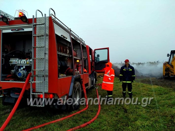 alexandriamou.gr_fotia4.10.1971724116_674438263050243_3938467920757129216_n