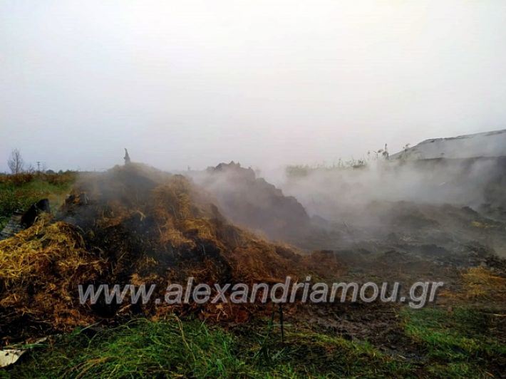 alexandriamou.gr_fotia4.10.1971890984_521134741793114_8732815784432107520_n