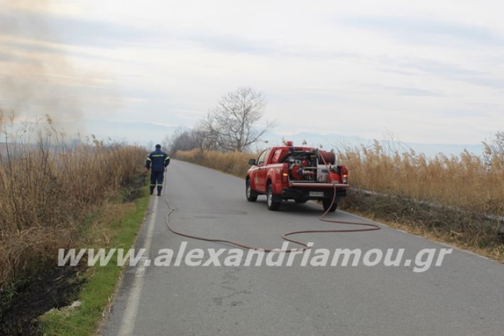 alexandriamou.gr_fotia6.3.20005