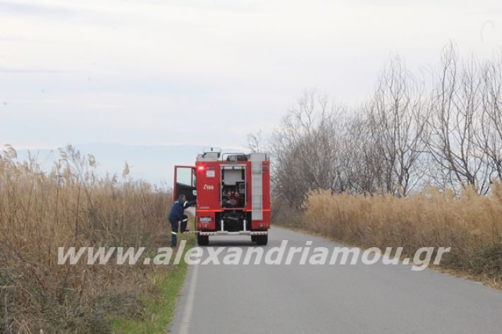 alexandriamou.gr_fotia6.3.20016