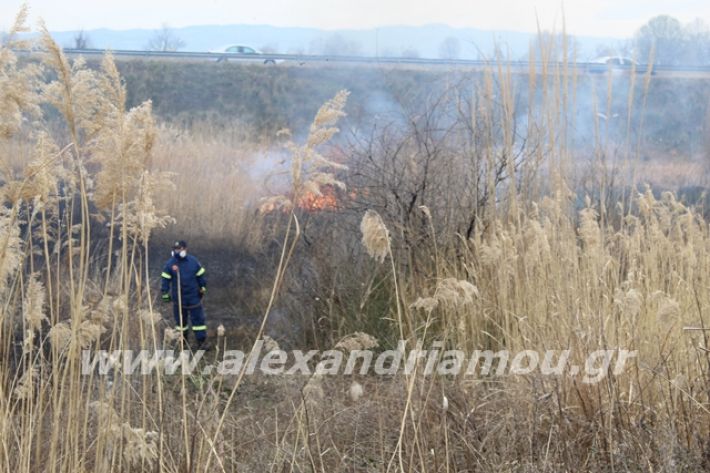 alexandriamou.gr_fotia6.3.20021