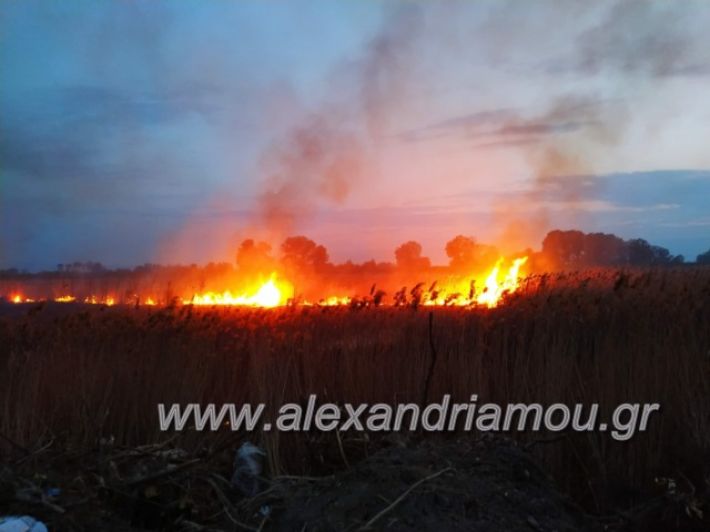 alexandriamou_fotia7.4.19008