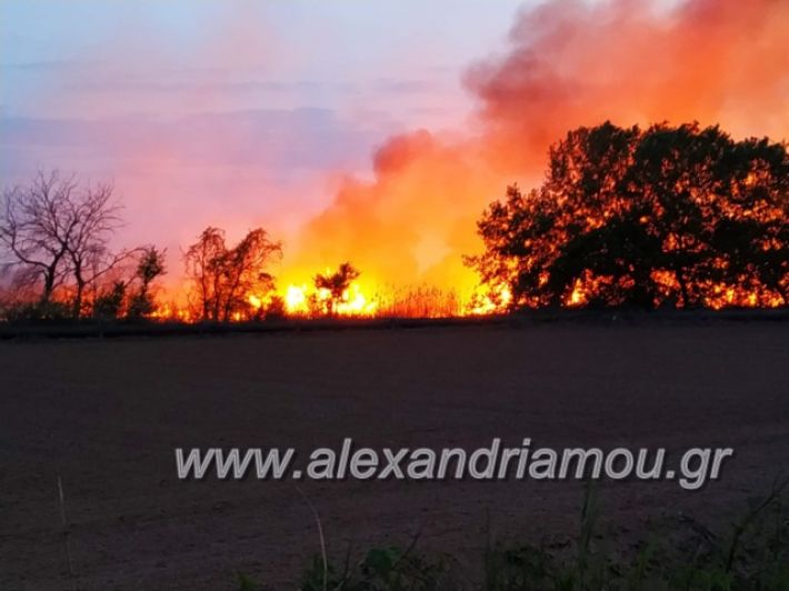 alexandriamou_fotia7.4.19018