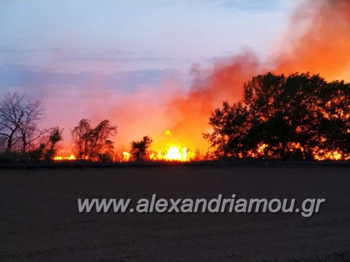 alexandriamou_fotia7.4.19024