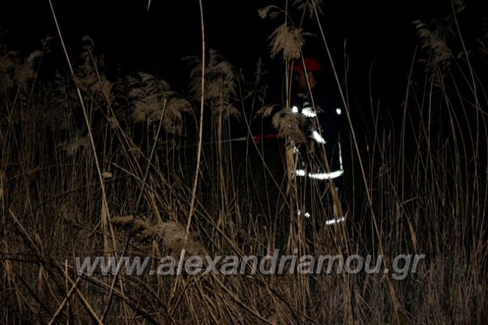 alexandriamou.gr_fotia20203DSC_0002