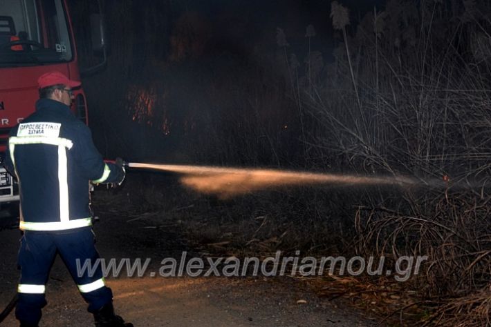 alexandriamou.gr_fotia20203DSC_0012