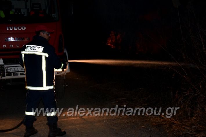 alexandriamou.gr_fotia20203DSC_0014