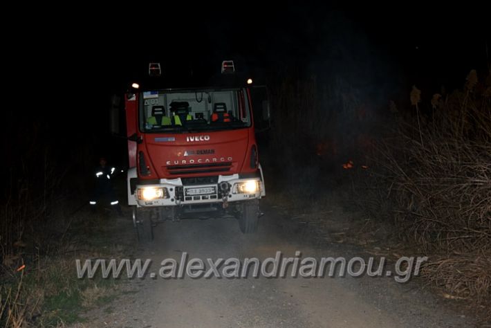 alexandriamou.gr_fotia20203DSC_1425