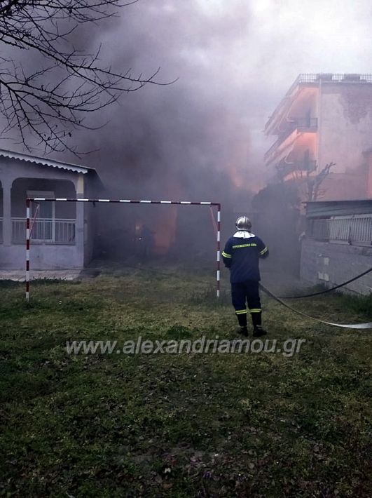 alexandriamou.gr_fotia1232388116769_147951266351554_213867595856609280_n