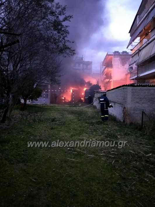 alexandriamou.gr_fotia1232388196494_553711288832847_4701007087482699776_n