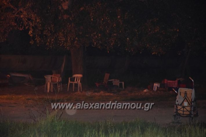 alexandriamou.gr_fotiatrikala011