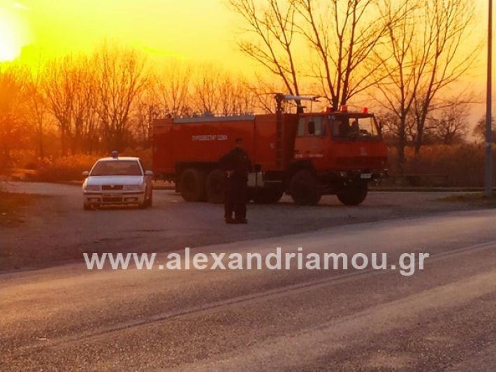 alexandriamou_fotia12353034418_2293571847544000_7546582900024541184_n