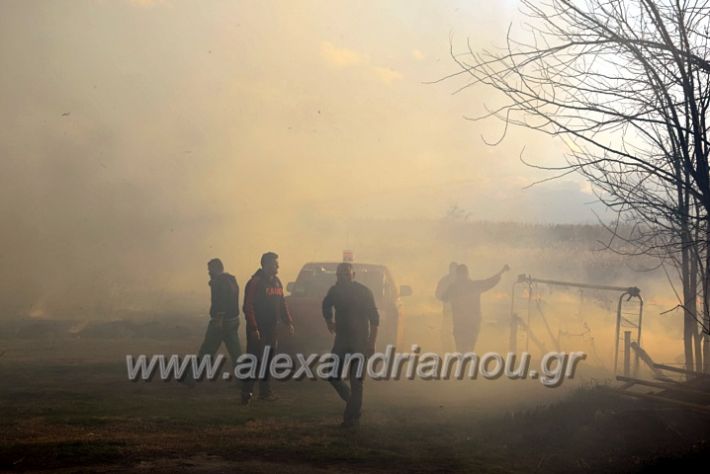 alexandriamou.gr_fotia07232DSC_0024