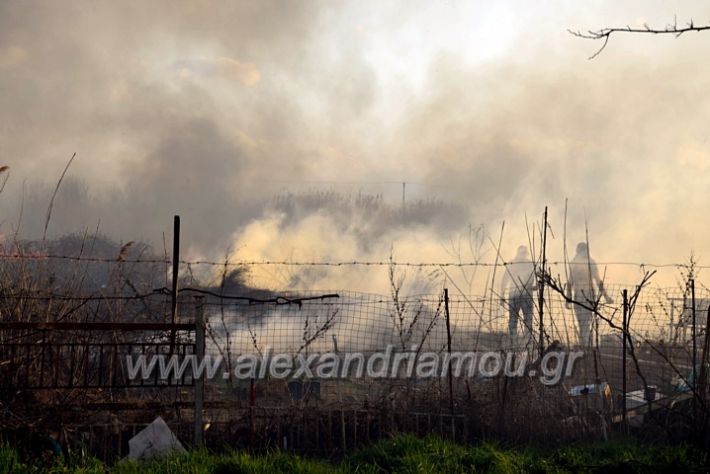 alexandriamou.gr_fotia07232DSC_0043