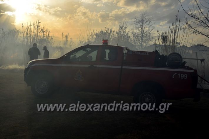 alexandriamou.gr_fotia07232DSC_0047