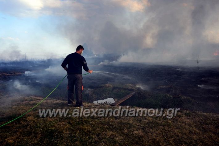 alexandriamou.gr_fotia07232DSC_0056