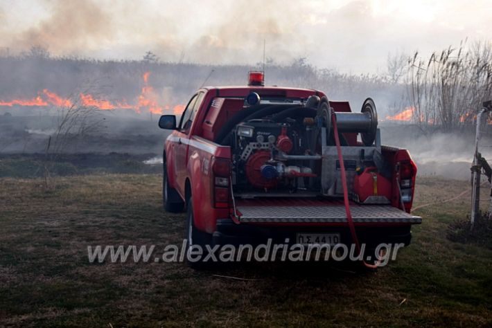 alexandriamou.gr_fotia07232DSC_0066