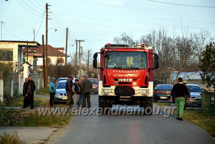 alexandriamou.gr_fotia07232DSC_0089