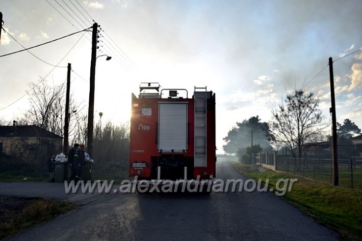 alexandriamou.gr_fotia07232DSC_0095