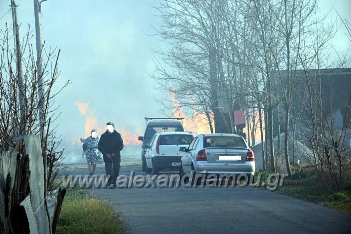 alexandriamou.gr_fotia07232DSC_0096