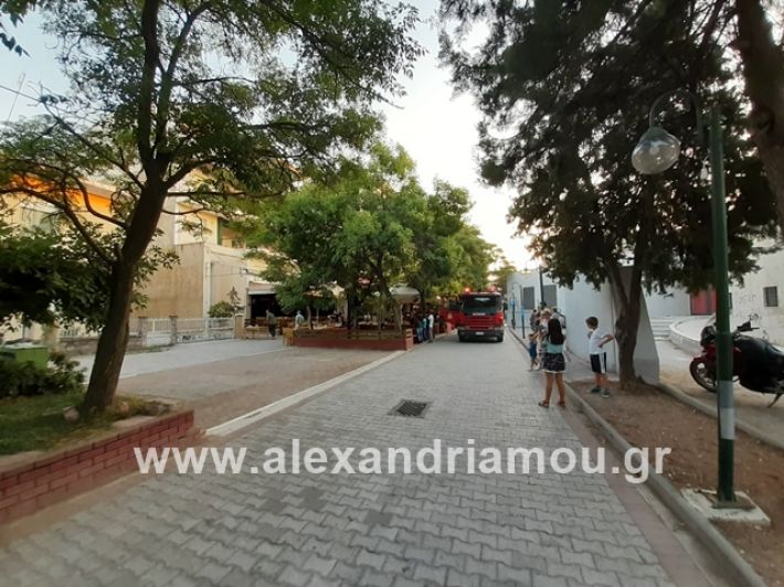 alexandriamou.gr_fotia0878001