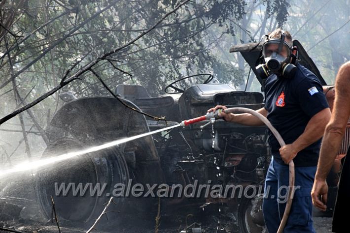 alexandriamou.gr_fotia141421DSC_0333