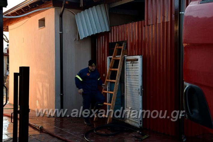 alexandriamou.gr_fota15.01.21DSC_0954