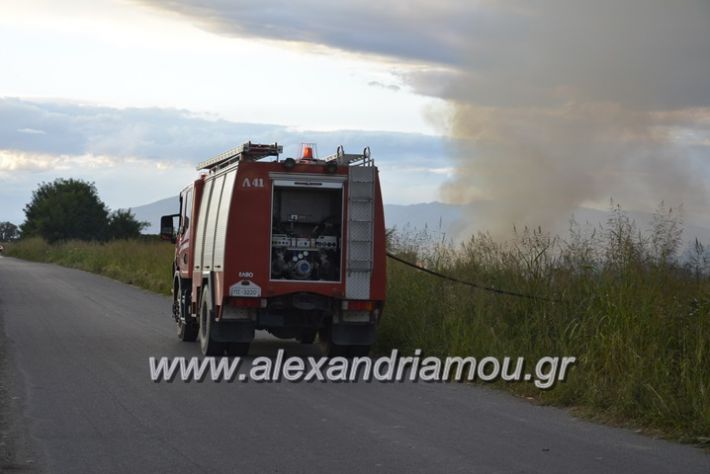 alexandriamou.gr_fotia20.9032