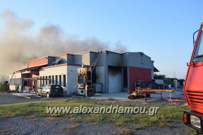 alexandriamou_fotia23.06.17006