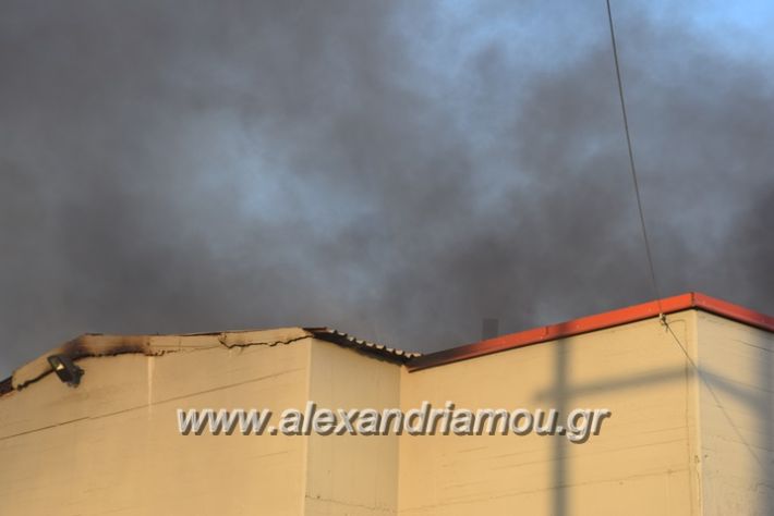 alexandriamou_fotia23.06.17016